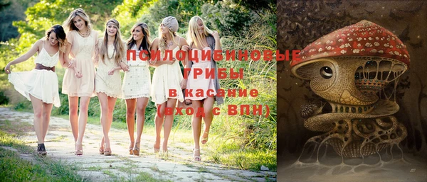 прущие крисы Горняк